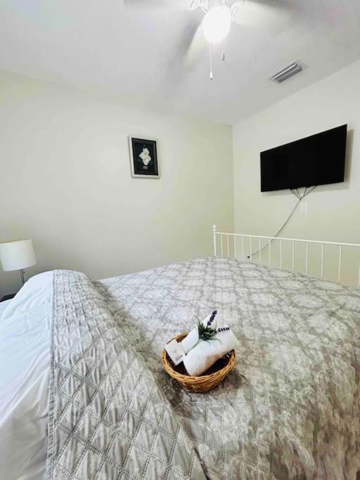 Vila Vintage Family Scape + Heated Pool&Discount Tampa Exteriér fotografie