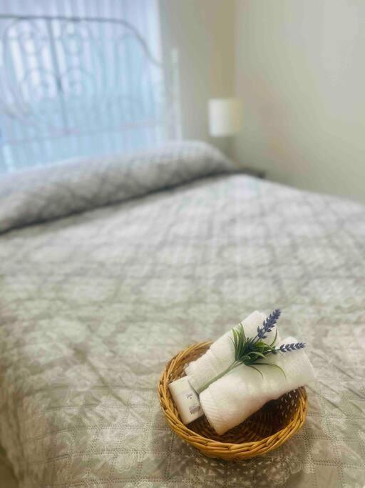 Vila Vintage Family Scape + Heated Pool&Discount Tampa Exteriér fotografie